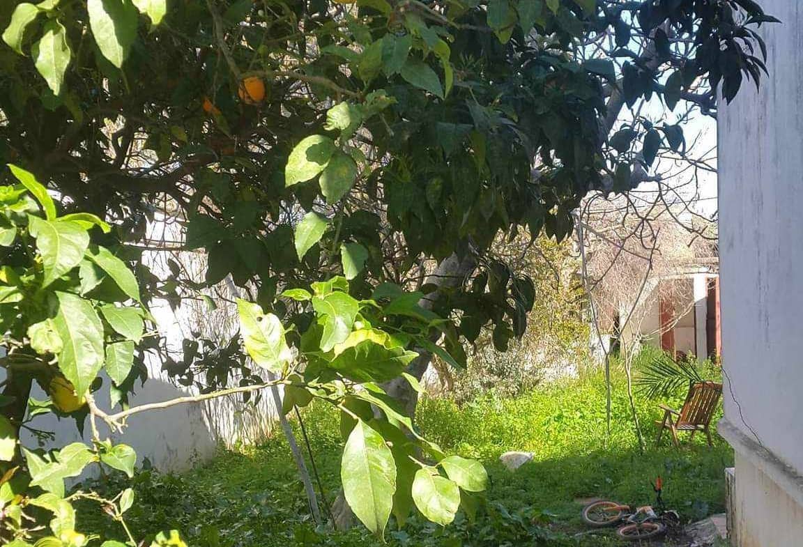Vente villa avec jardin 4