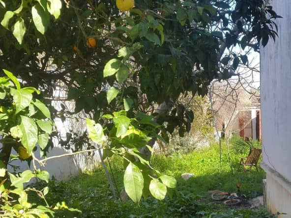 Vente villa avec jardin 10