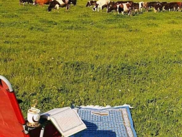 Vente Ferme Agricole ( Terrain Agricole ) 18
