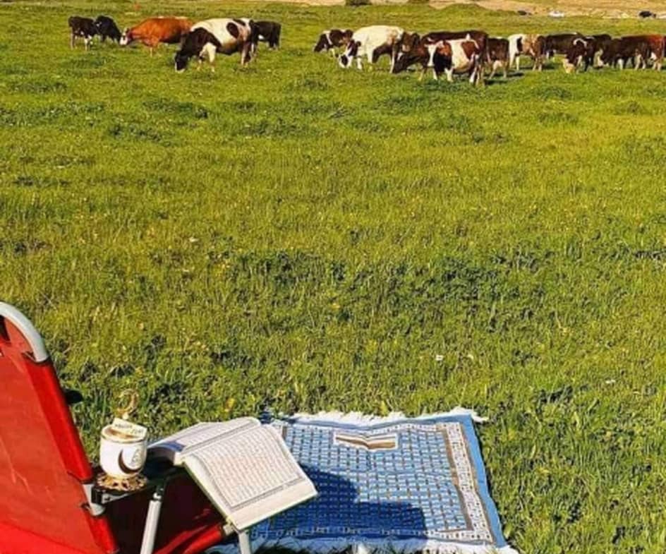 Vente Ferme Agricole ( Terrain Agricole ) 4