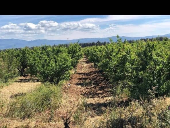 Vente Ferme Agricole ( Terrain Agricole ) 21