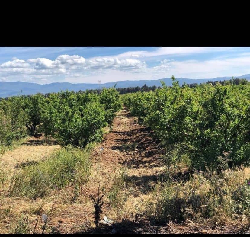 Vente Ferme Agricole ( Terrain Agricole ) 7