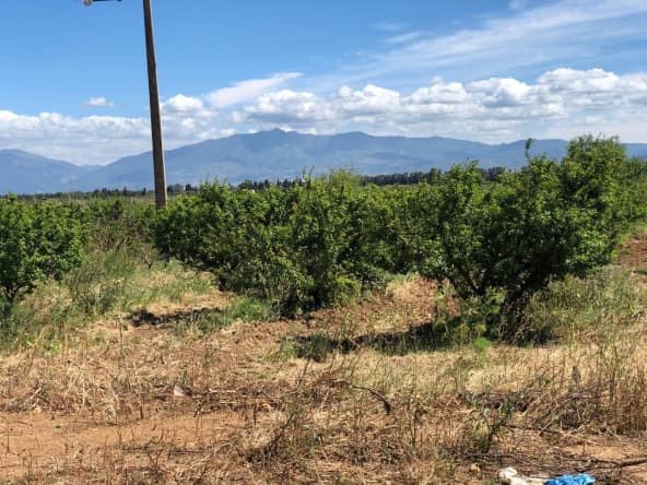 Vente Ferme Agricole ( Terrain Agricole ) 26