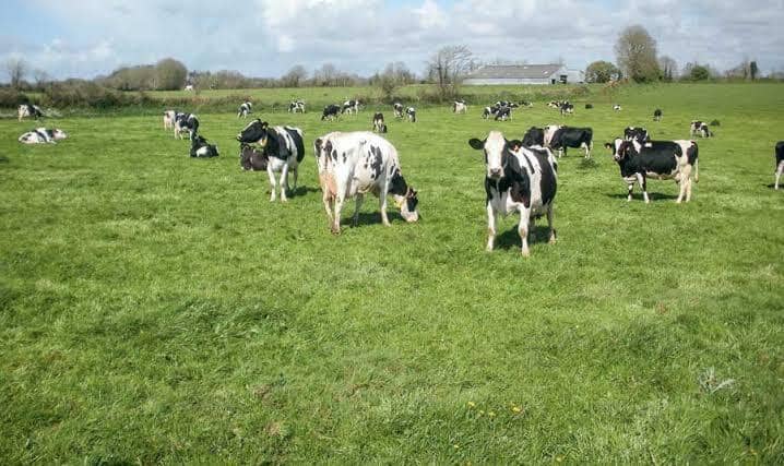 Vente Ferme Agricole ( Terrain Agricole ) 8