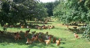 Vente Ferme Agricole ( Terrain Agricole ) 5