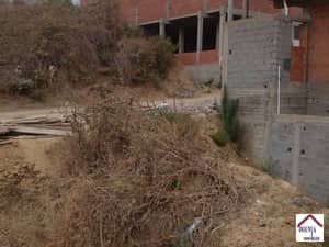 Terrain skikda vente immobilier