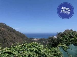 Vente terrain skikda ( skikda ) algérie