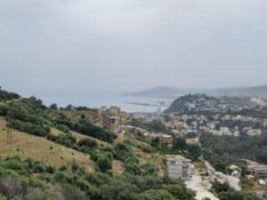 Location studio skikda ( skikda ) f1 immobilier