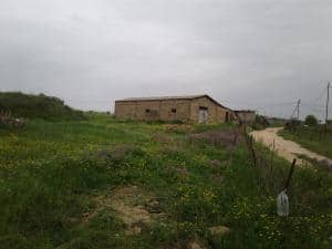 Skikda location terrain agricole  ( azzaba )  immobilier