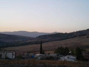 Vente terrain constantine ( didouche mourad ) immobilier
