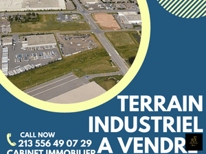 Terrain oran vente immobilier