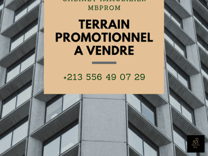 Oran vente terrain ( oran ) immobilier
