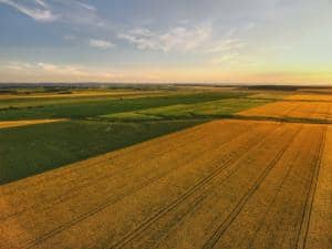 Vente terrain agricole mascara ( alaimia ) immobilier