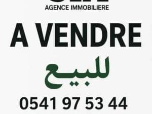 Immeuble — alger-centre