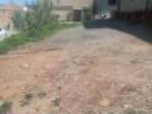 Vente terrain tipaza ( khemisti ) algérie