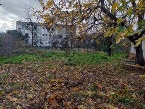 Terrain blida vente f4 algérie