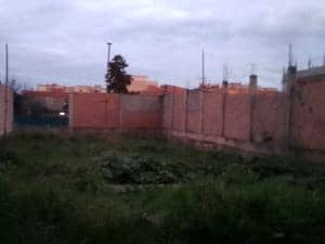 Terrain blida vente immobilier