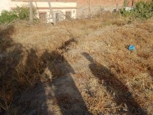 Terrain tlemcen vente f4 immobilier