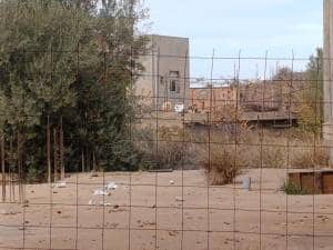 Tlemcen vente carcasse ( tlemcen ) immobilier
