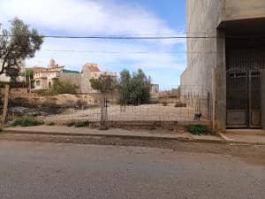Vente terrain tlemcen ( tlemcen ) algérie