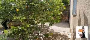 Villa alger location f5 algérie