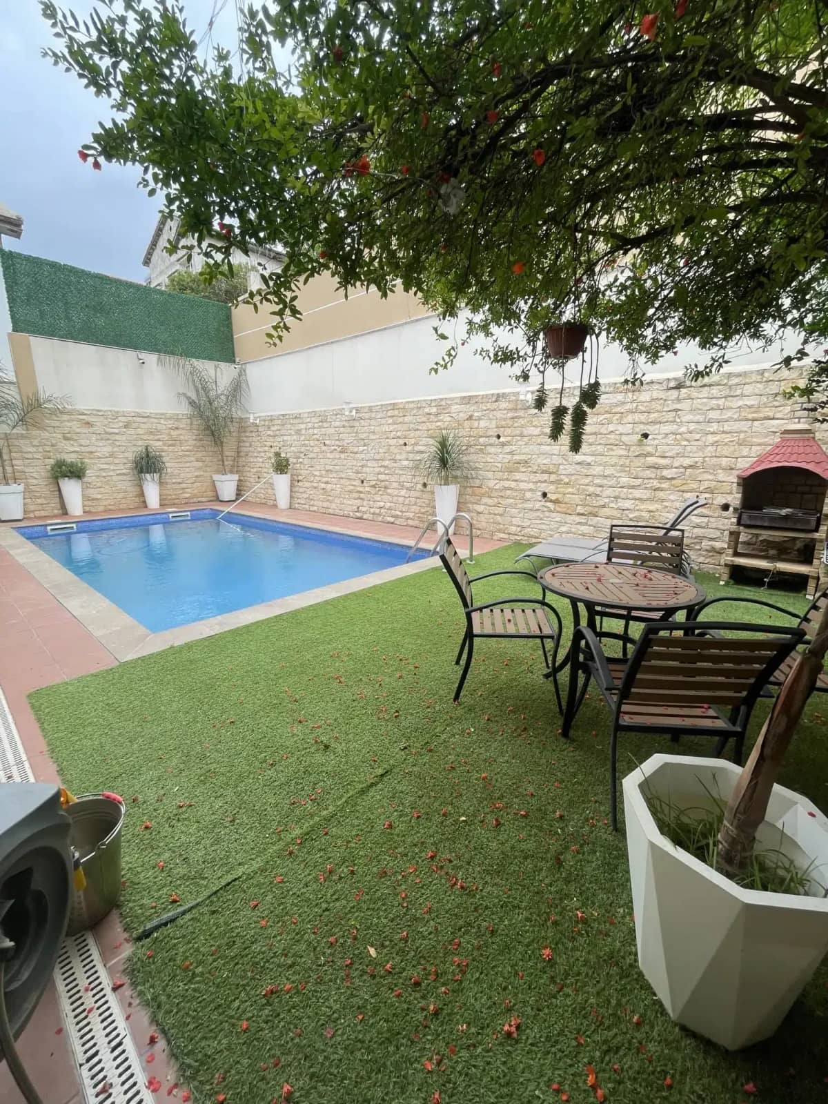 Vente villa Kouba – Panorama 5