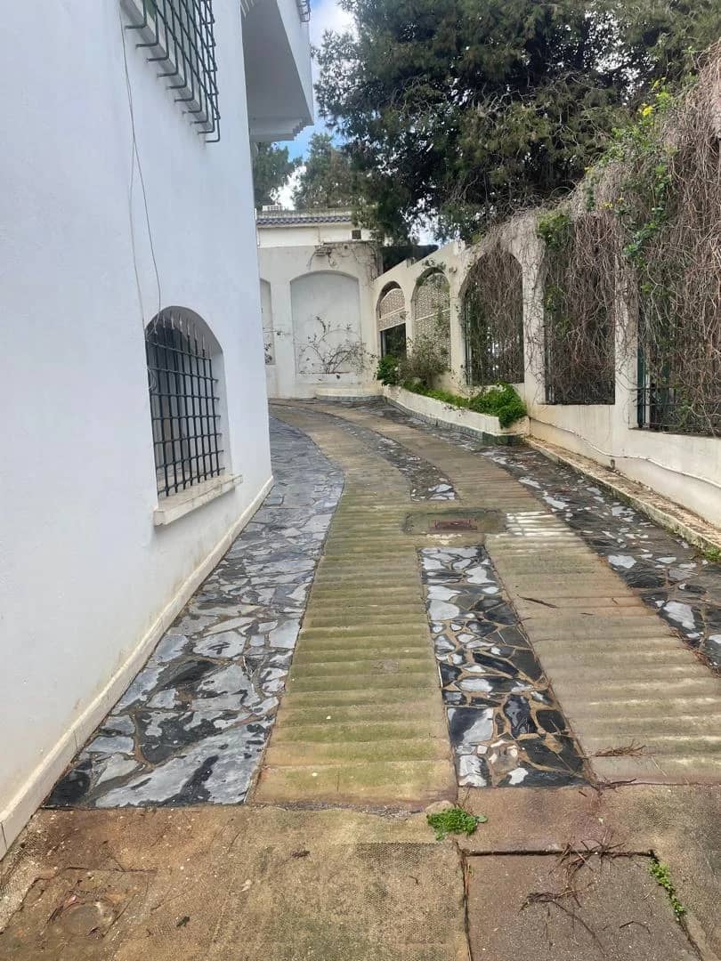 Location d’un duplex El Biar 14